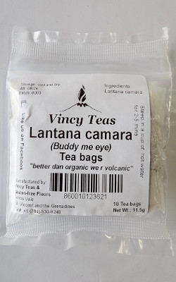 VINCY TEA BUDDY ME EYE LANTANA
